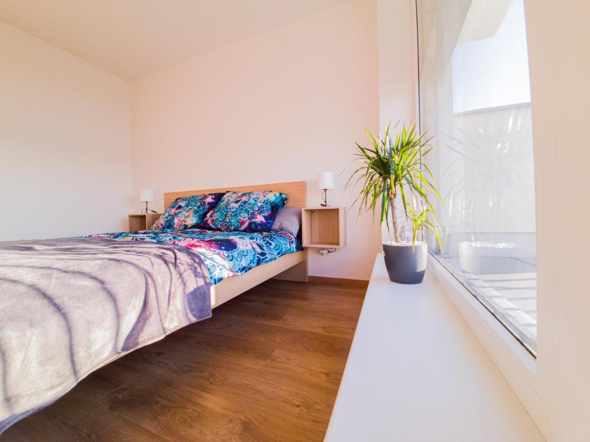 Hradec KrálovéModern Flat With Large Terraceアパートメント エクステリア 写真
